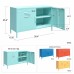 Cache 2 Door Metal Locker Accent Cabinet