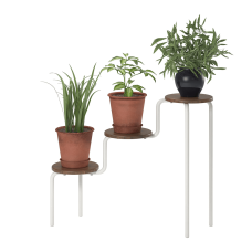 Webster Plant Stand